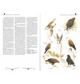 Veldgids roofvogels