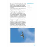 Vogels kijken in Noordoost-Duitsland