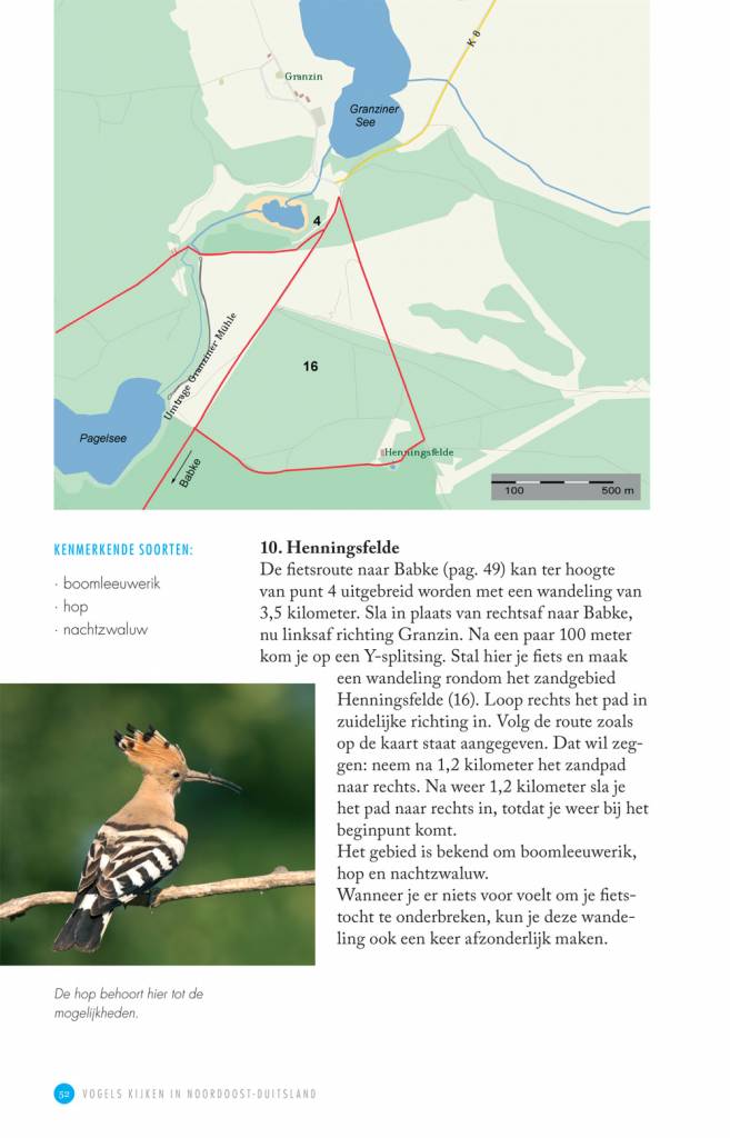 Vogels kijken in Noordoost-Duitsland