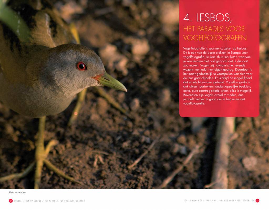 Vogels kijken op Lesbos