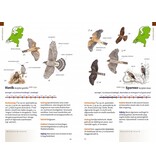 Zakgids vogels van Nederland