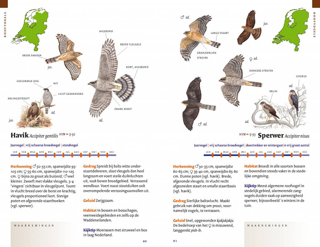 Zakgids vogels van Nederland