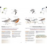Zakgids vogels van Nederland