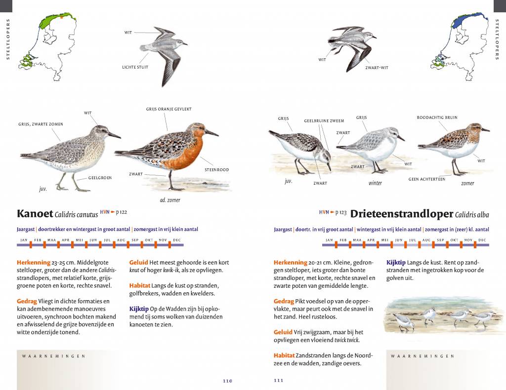 Zakgids vogels van Nederland