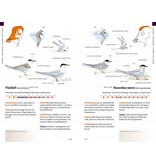 Zakgids vogels van Nederland