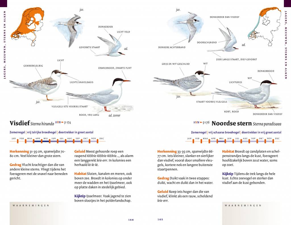 Zakgids vogels van Nederland