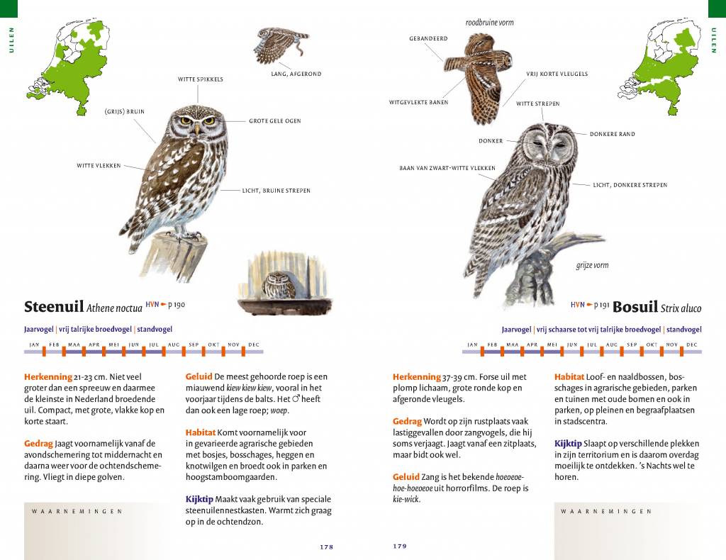 Zakgids vogels van Nederland