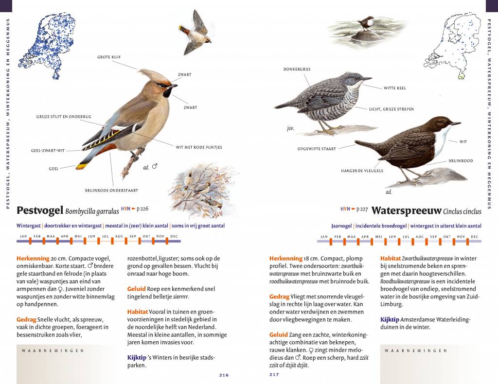 Zakgids vogels van Nederland
