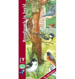 Broedvogels in beeld