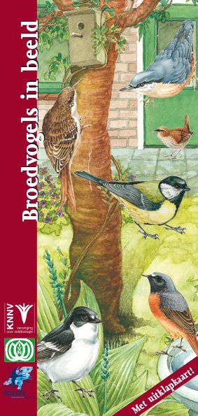 Broedvogels in beeld