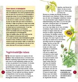 Broedvogels in beeld