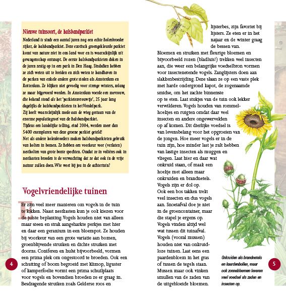 Broedvogels in beeld