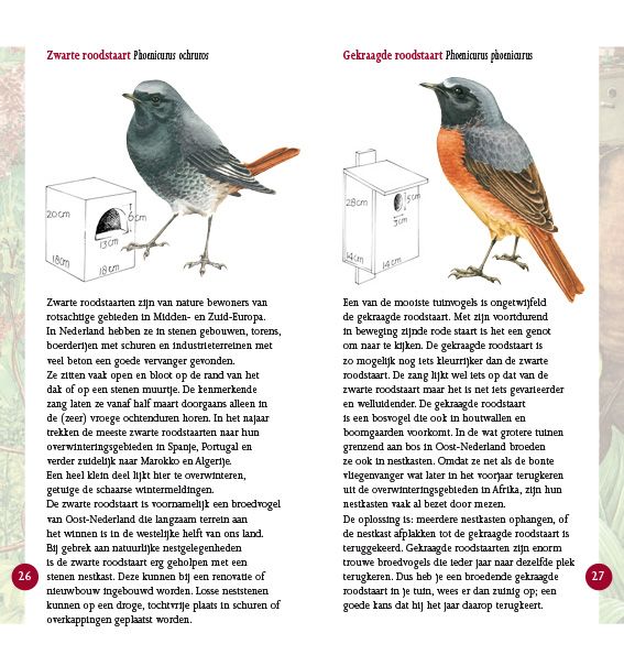 Broedvogels in beeld