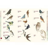 Broedvogels in beeld