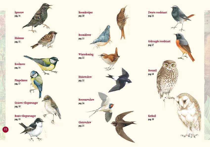Broedvogels in beeld