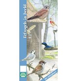 Erfvogels in beeld