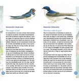 Erfvogels in beeld