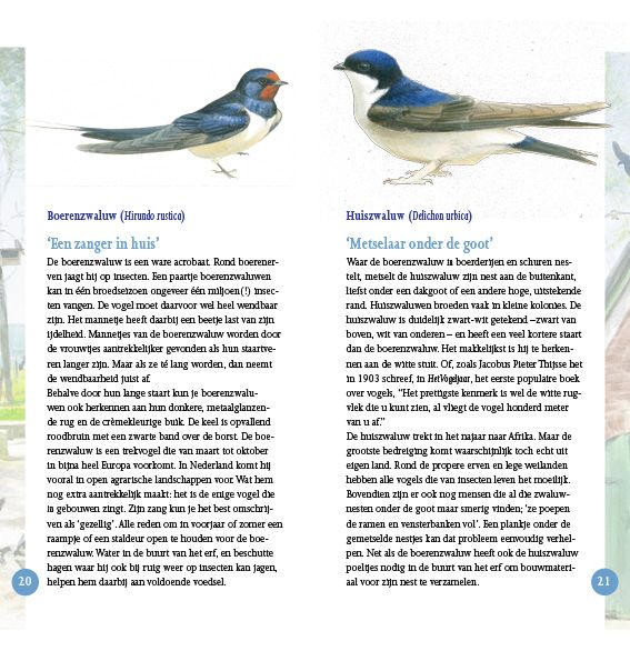 Erfvogels in beeld