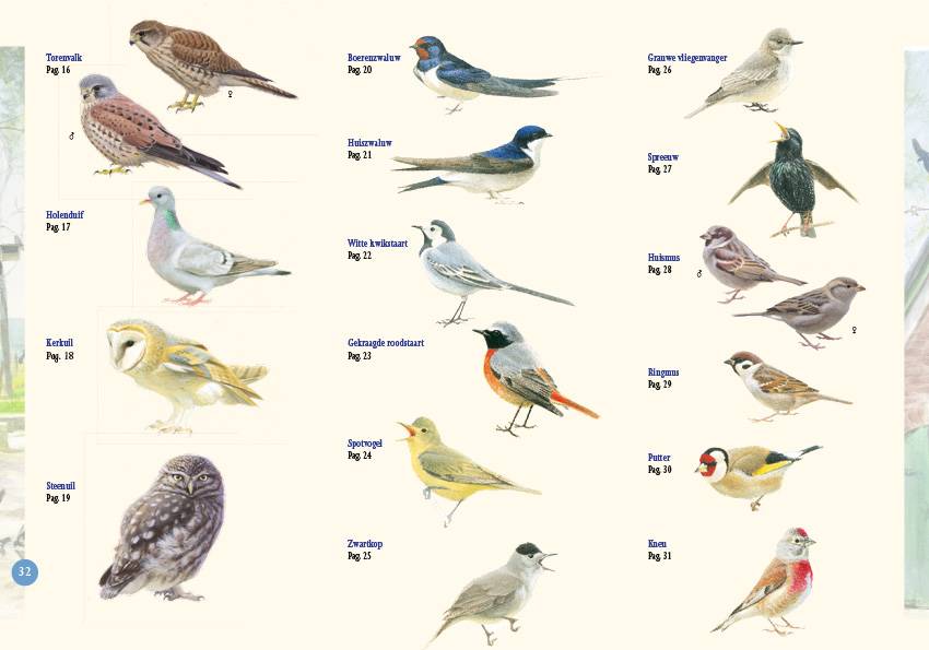Erfvogels in beeld
