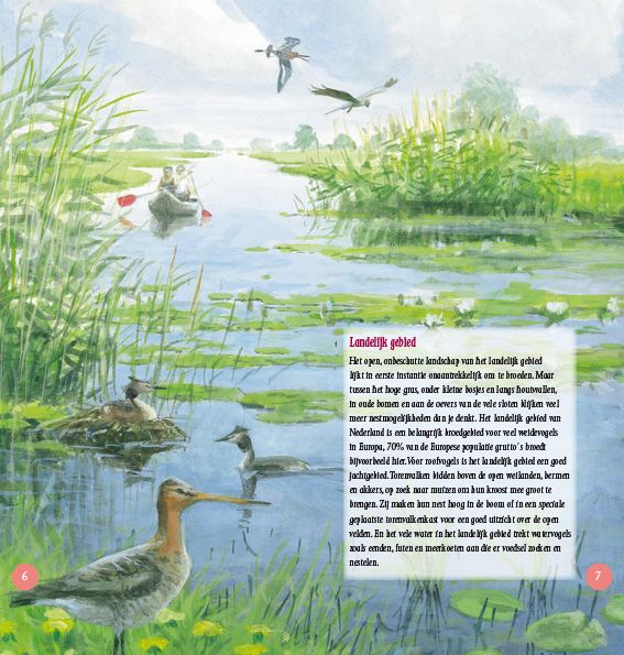 Nesten in beeld