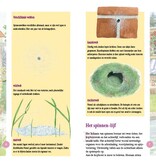 Spinnen in beeld