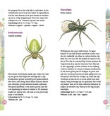 Spinnen in beeld