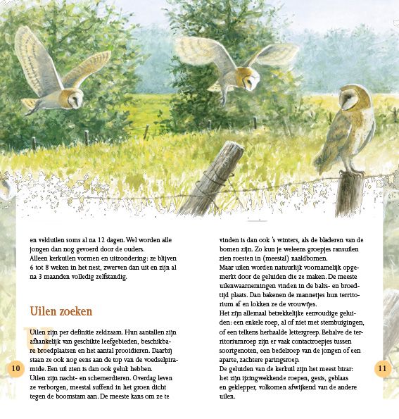 Uilen in beeld