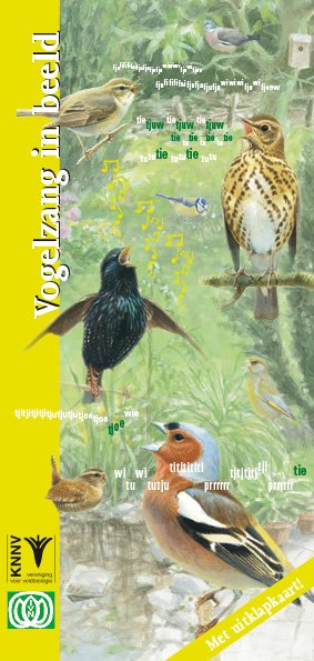 Vogelzang in beeld