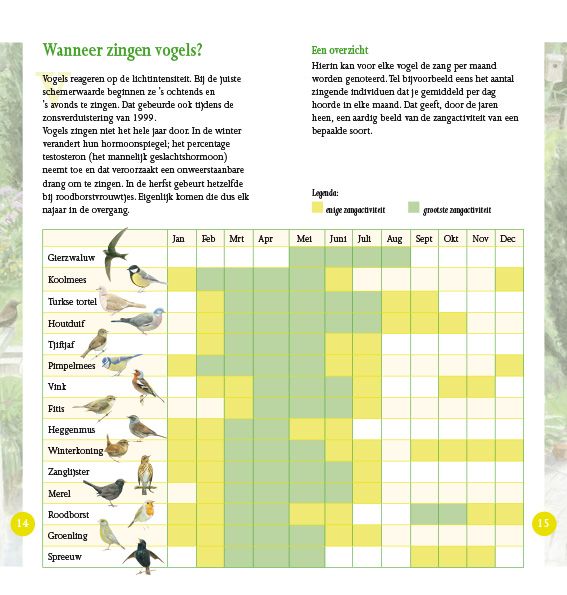 Vogelzang in beeld