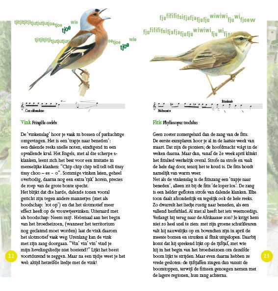 Vogelzang in beeld
