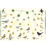 Vogelzang in beeld