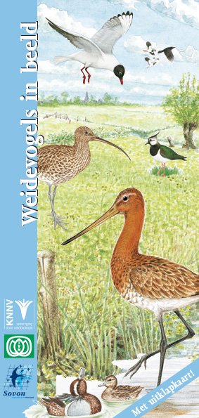 Weidevogels in beeld