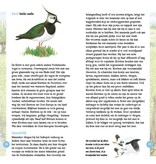 Weidevogels in beeld
