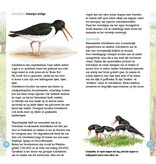 Weidevogels in beeld