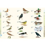 Weidevogels in beeld