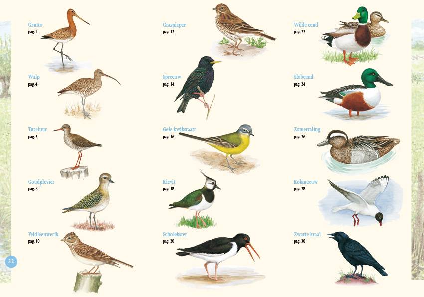 Weidevogels in beeld