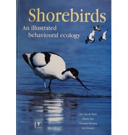 Shorebirds