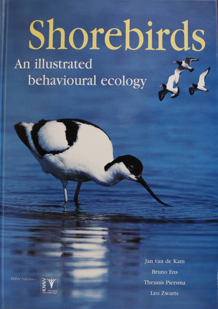 Shorebirds