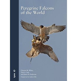 Peregrine Falcons of the world