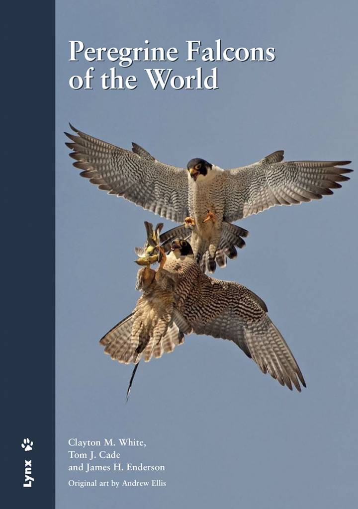 Peregrine Falcons of the world