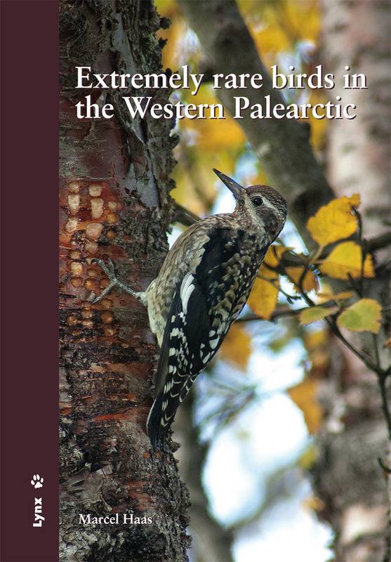 Extremely rare birds in the Western Palearctic