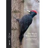 The Black Woodpecker