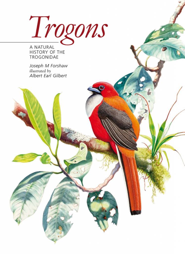 Trogons