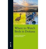 Where to watch birds in Do̱ana
