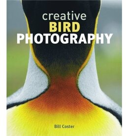 Creative Bird Photography