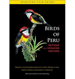 Birds of Peru