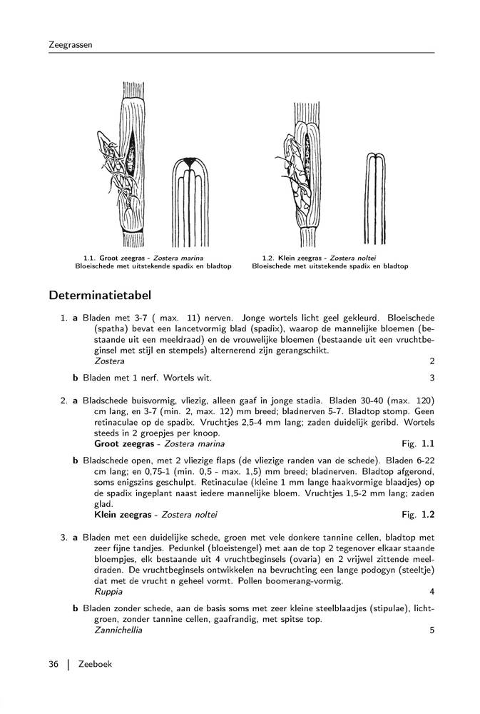 Zeeboek