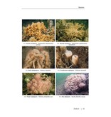 Zeeboek