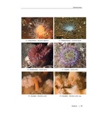 Zeeboek