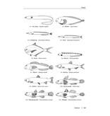 Zeeboek